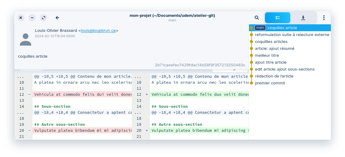 Exemple d&rsquo;état d&rsquo;un dépôt après plusieurs commits (rondes de modifications) dans une interface graphique